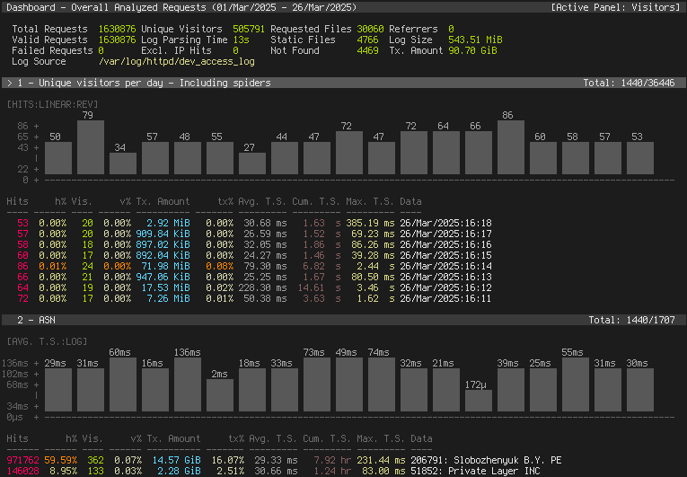 GoAccess dashboard showing aggregated website traffic and request statistics